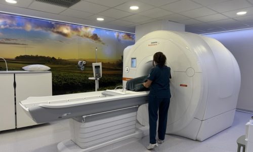 Image (1)